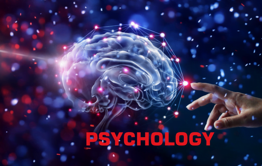 University That Offers Bachelor of Psychological Science Courses In United State | Full Details